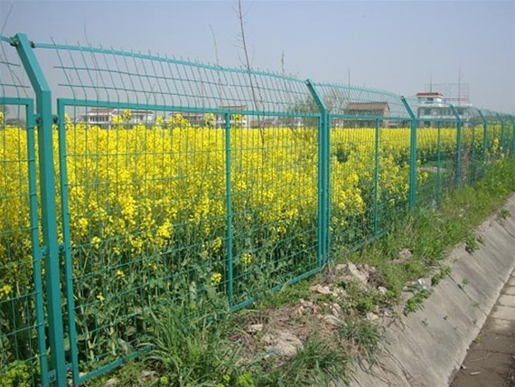 云南建水养殖场围栏网厂家告诉你散养的土鸡适合什么样的围栏网？